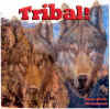 tribal.jpg (44172 bytes)